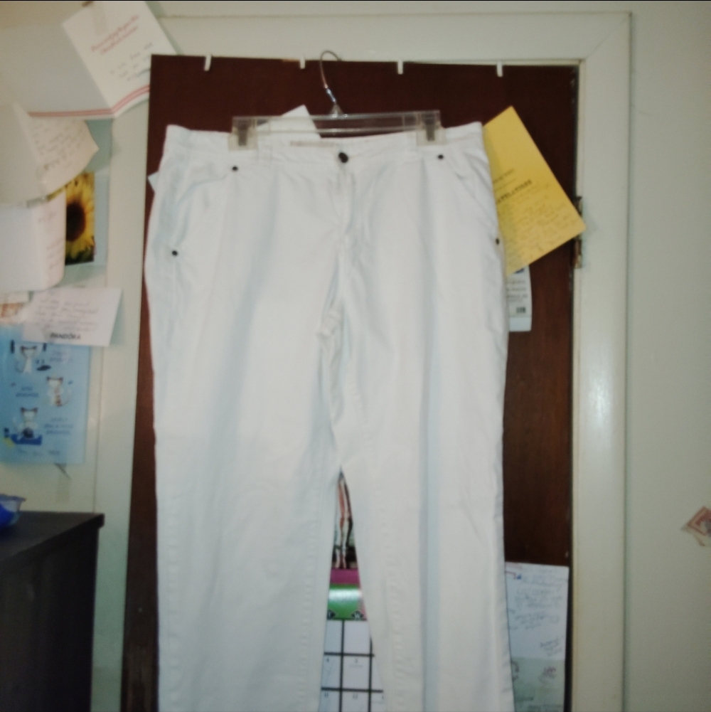 PILCRO & THE LETTERPRESS anthropology High Rise White Jeans Size 32" - Picture 3 of 11